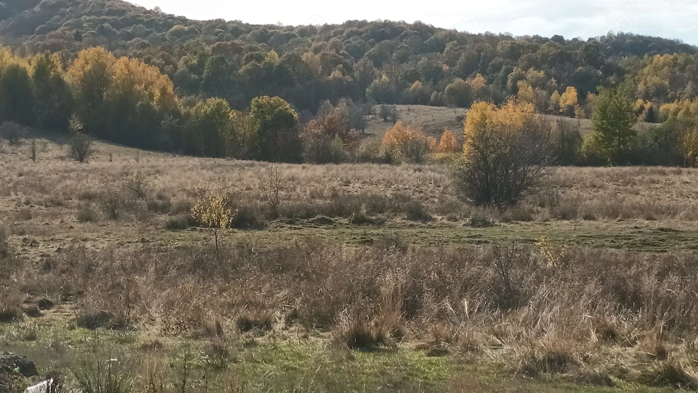 Teren Râșnov - poza 4