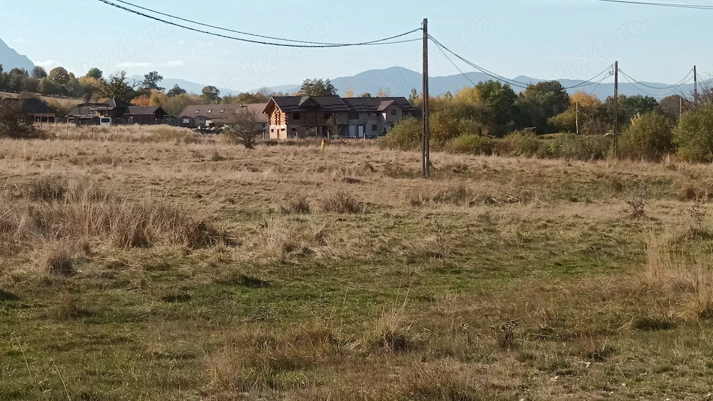 Teren Râșnov - poza 5