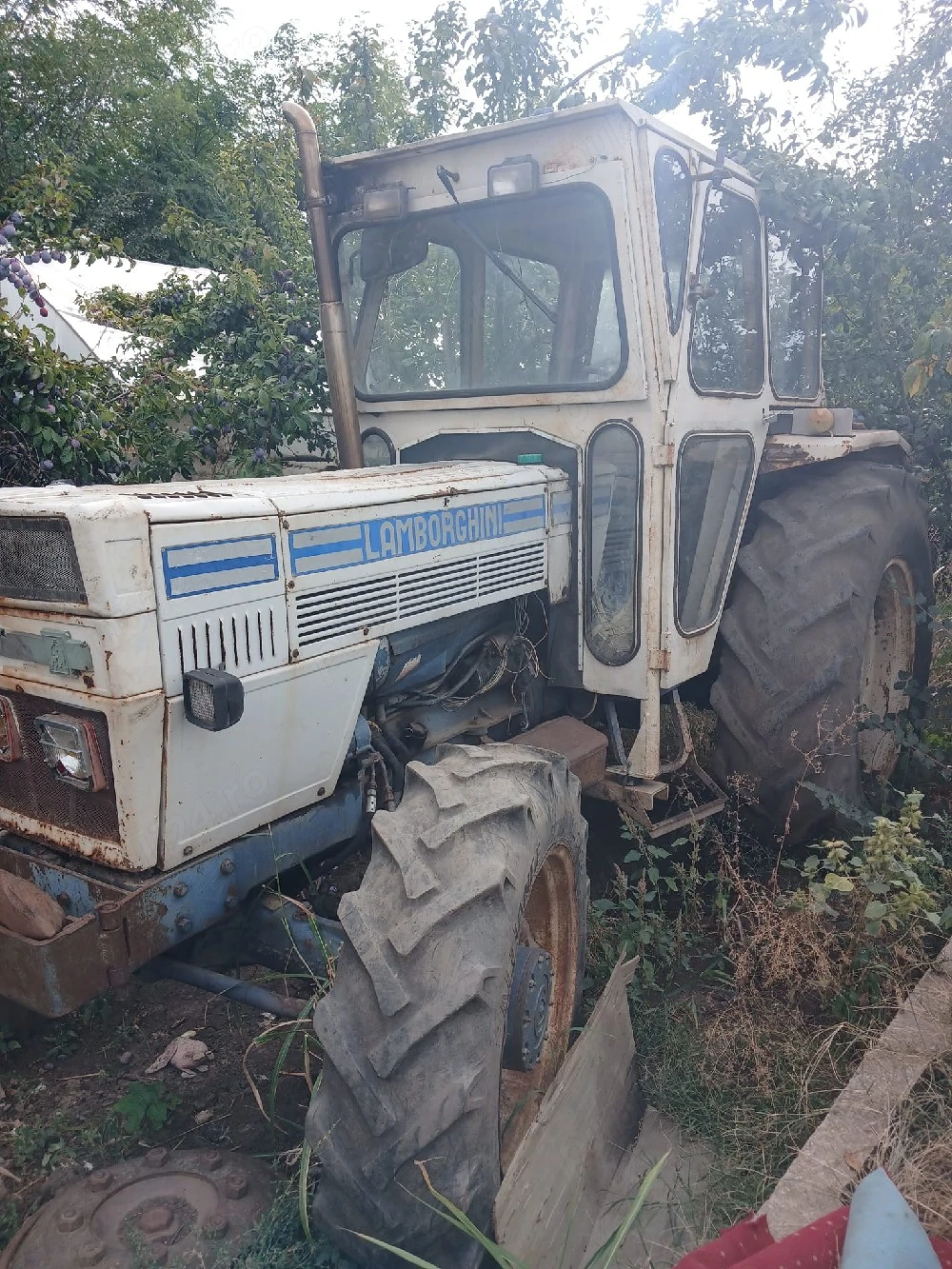 vand tractor lamborghini