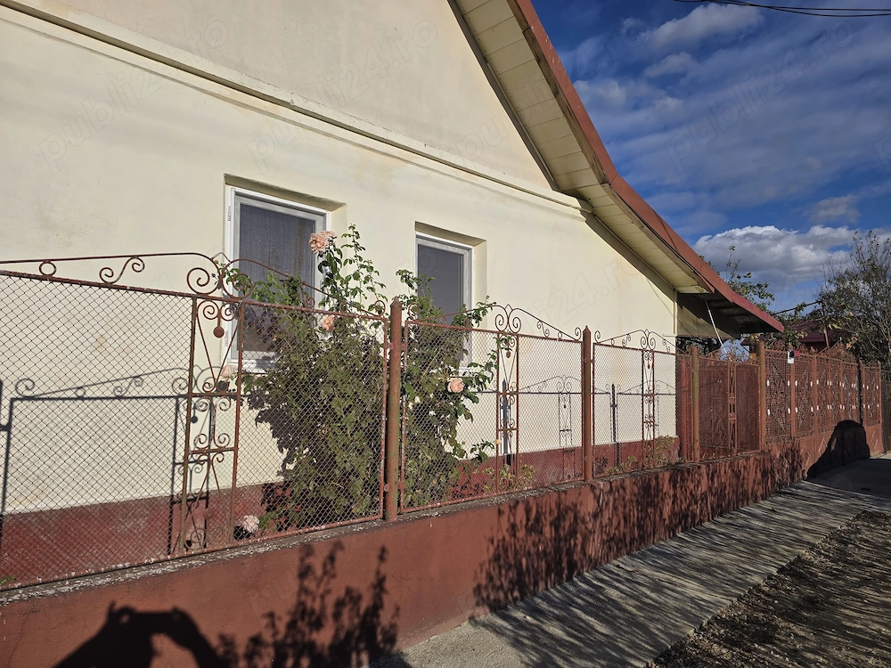 Vand casa la tara