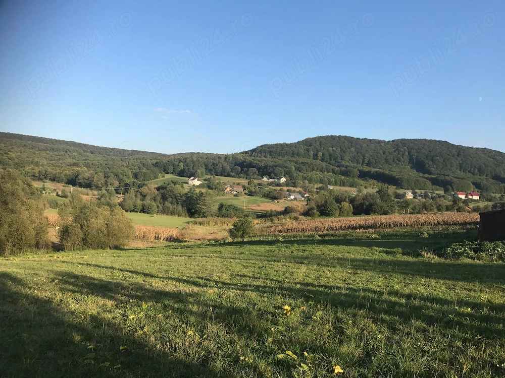 Vând 2500 mp teren intravilan Greațca Călinești com. Dărmănești Suceava