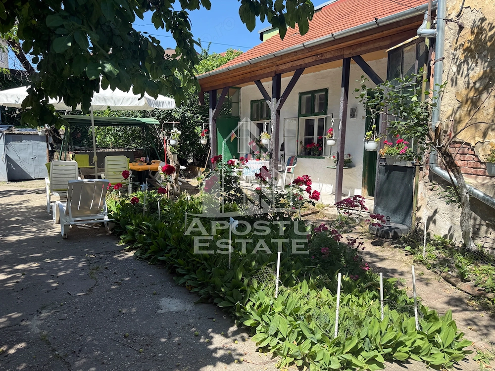 Două case de vânzare în aceeași curte zona Maria