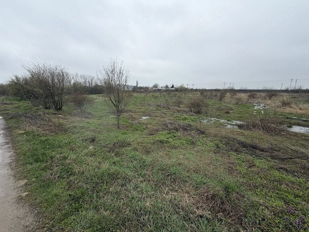 Vând teren intravilan   2.500 mp   Periș, sat Brătulești, județul Ilfov
