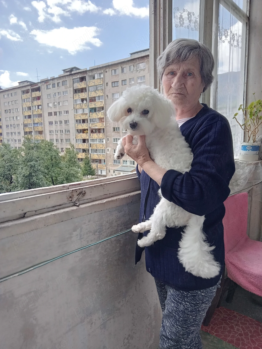 Donez bison maltez 4ani e obișnuit sa își facă nevoile afara ca eu stau la etajul 9 și nu îl mai pot