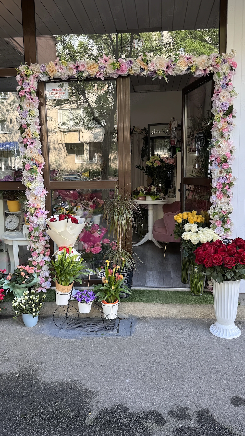 Vand afacere la cheie completă pentru începere din prima zi