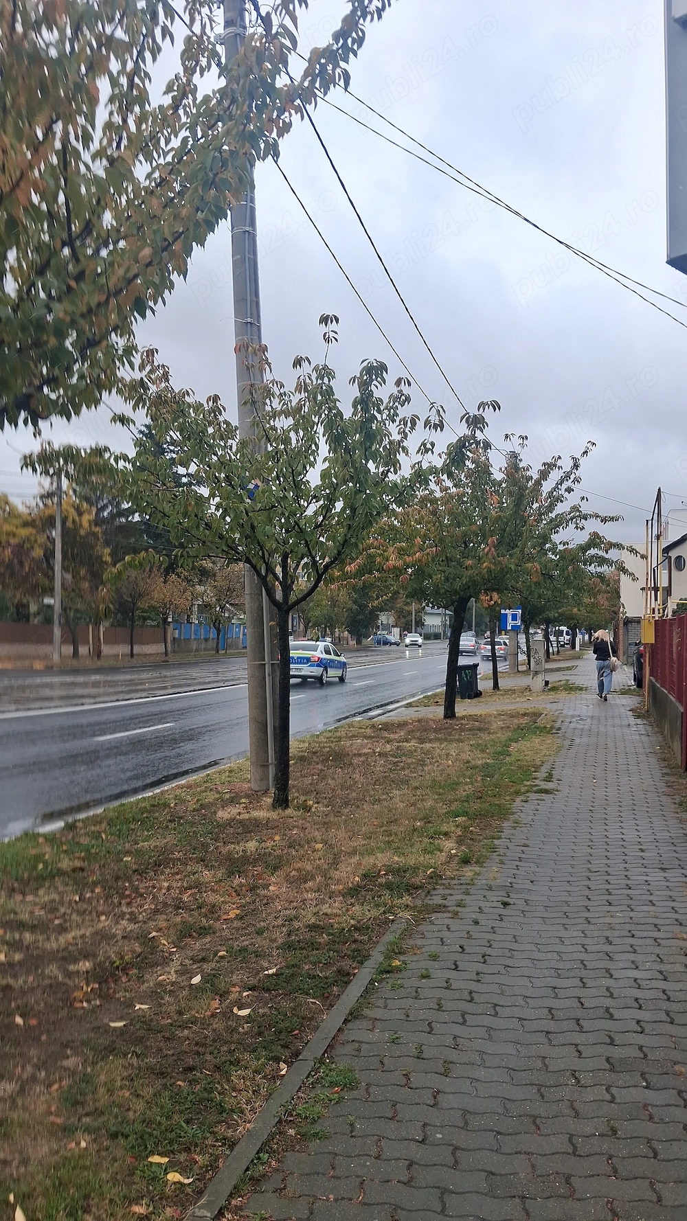 O colegă de Garsonieră 