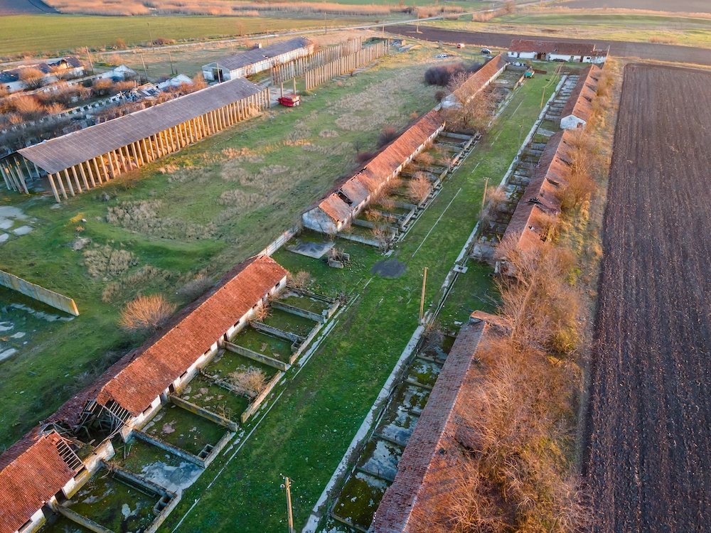 Complex 7 clădiri + teren 11500mp Nădlac (cf persoana fizica)