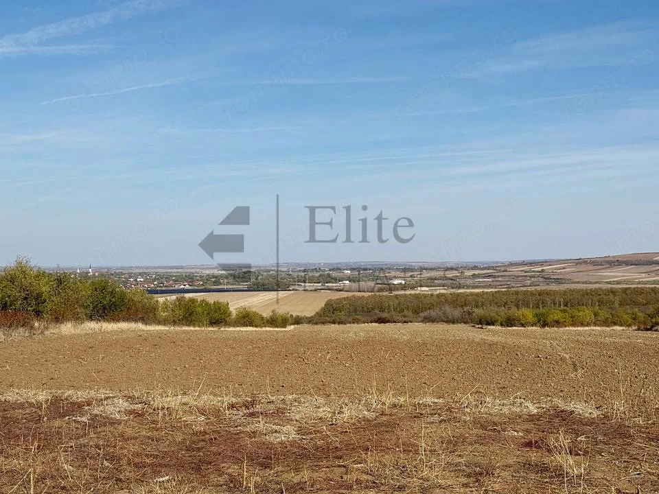Teren de vanzare  Paleu I 10827mp I un km de la sosea