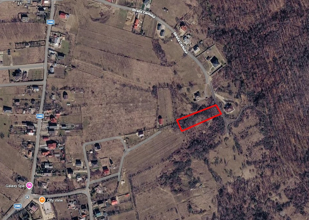 Teren intravilan 3.000 mp în Păun   utilități la poartă, lângă pădure
