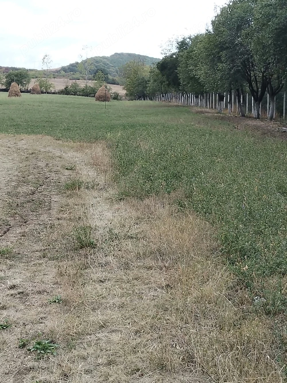 Vand teren intravilan
