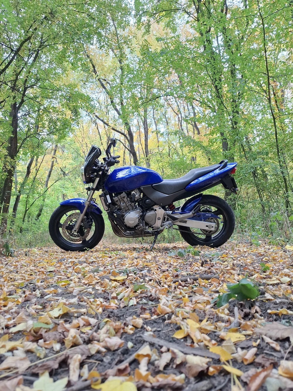 Vând Honda Hornet PC34