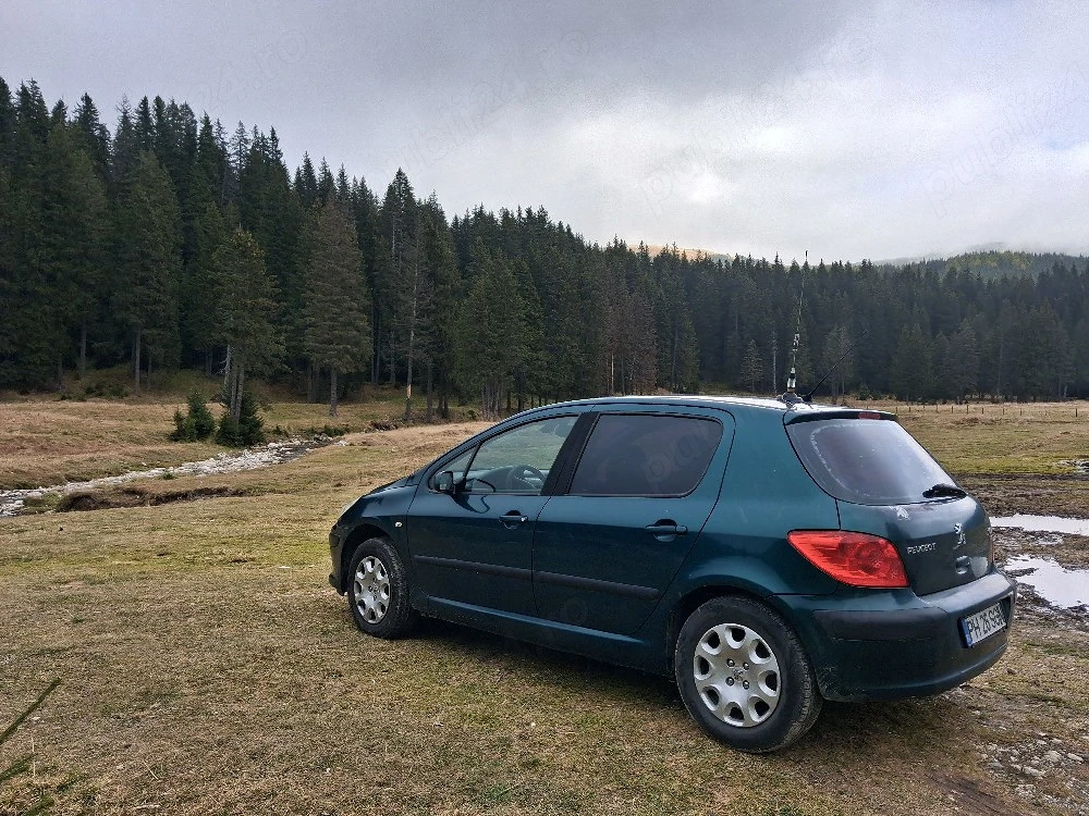 Peugeot 307hdi 1.6 2005 Acte la z Prahova 8000 ron i