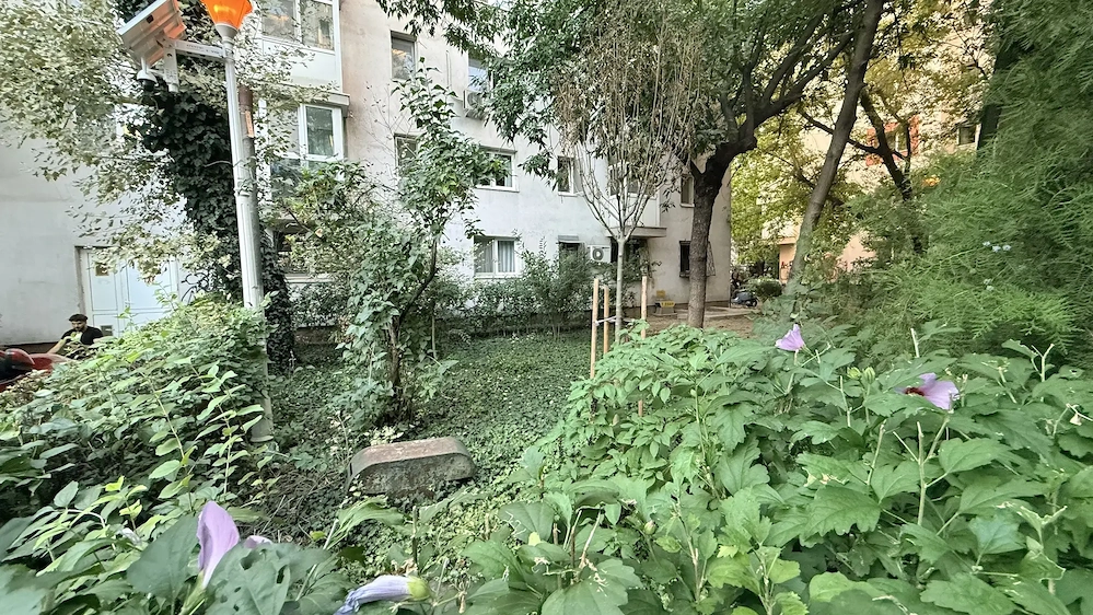 2 Camere Piața Victoriei - Str. Veronica Micle | Bloc Reabilitat