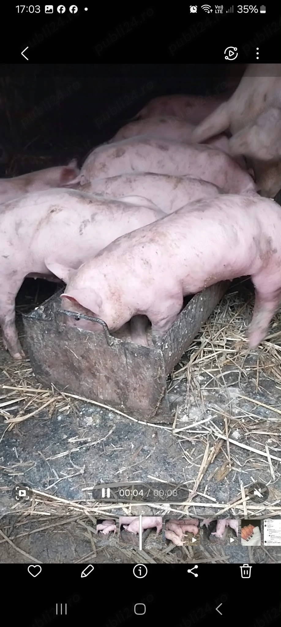 landras 9 saptamani
