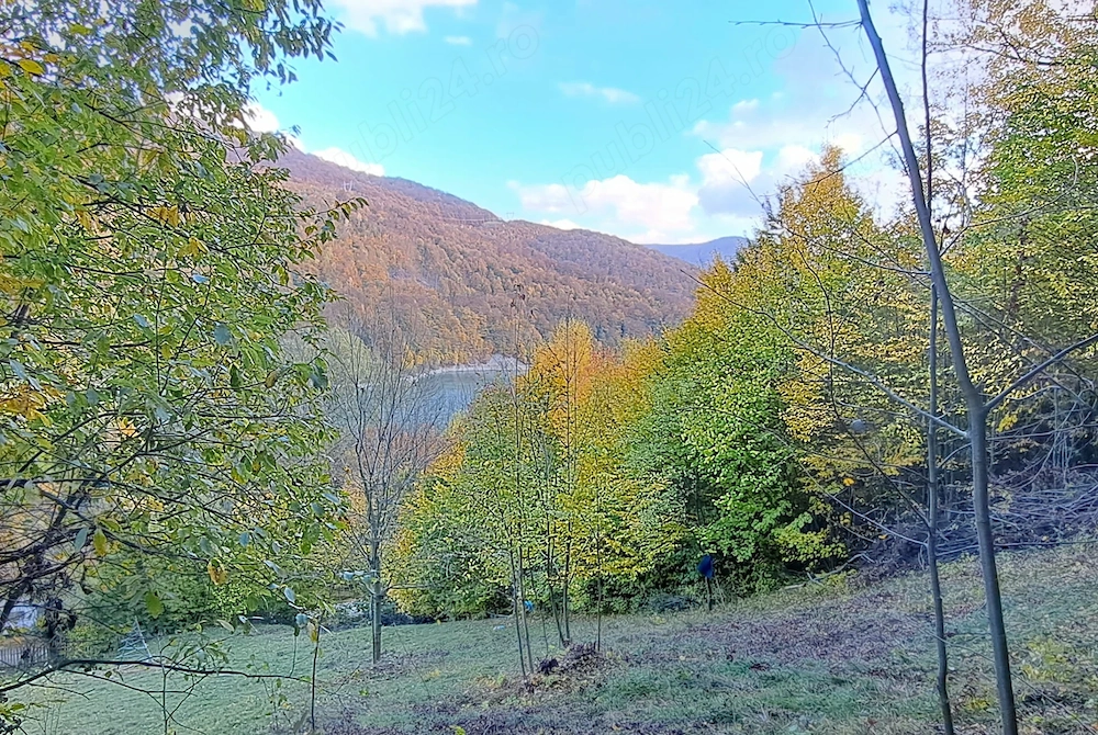 Teren VALEA DOFTANEI - poza 2
