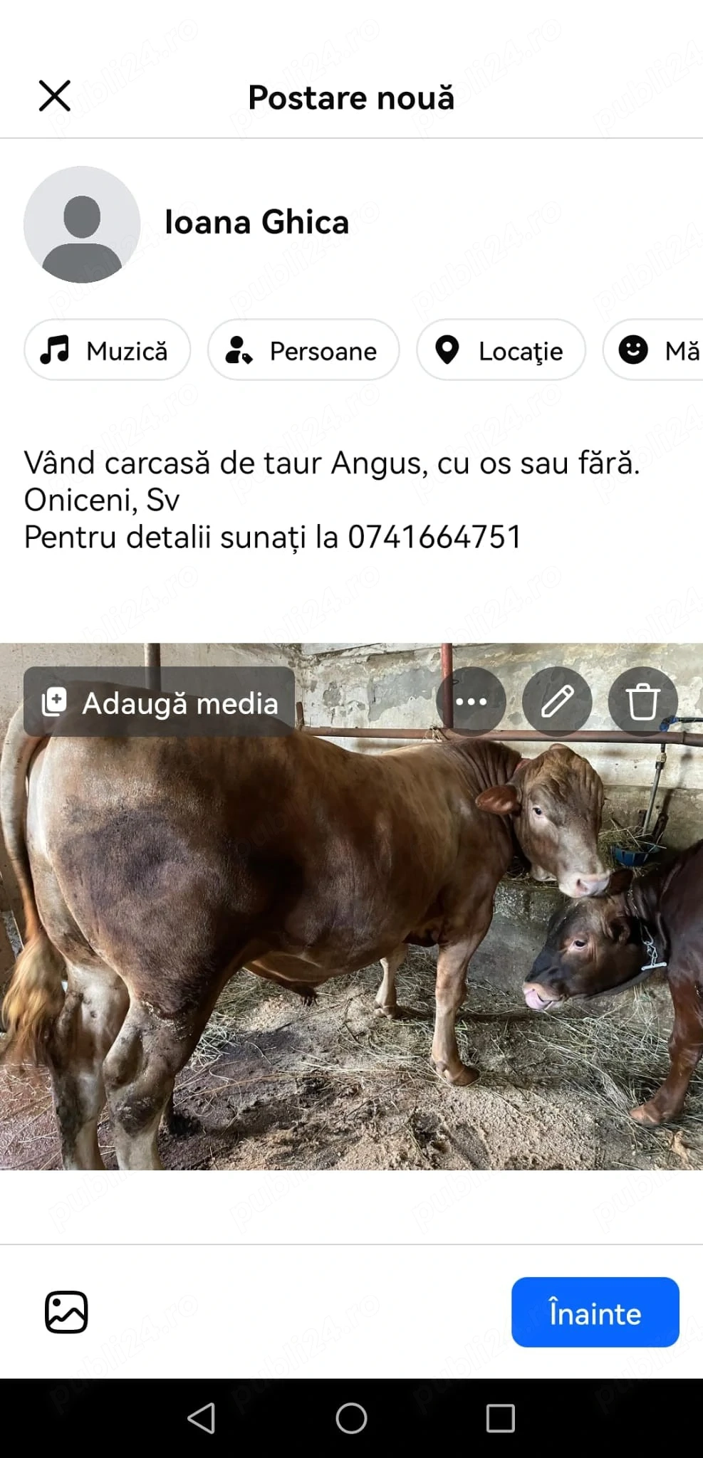 Carcasa taur angus