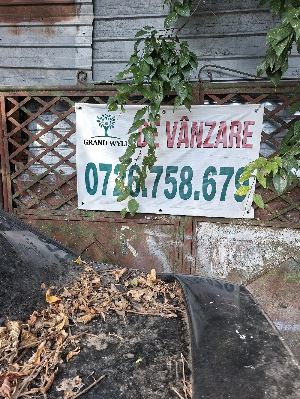 ofer gazdă la o fată gratuit