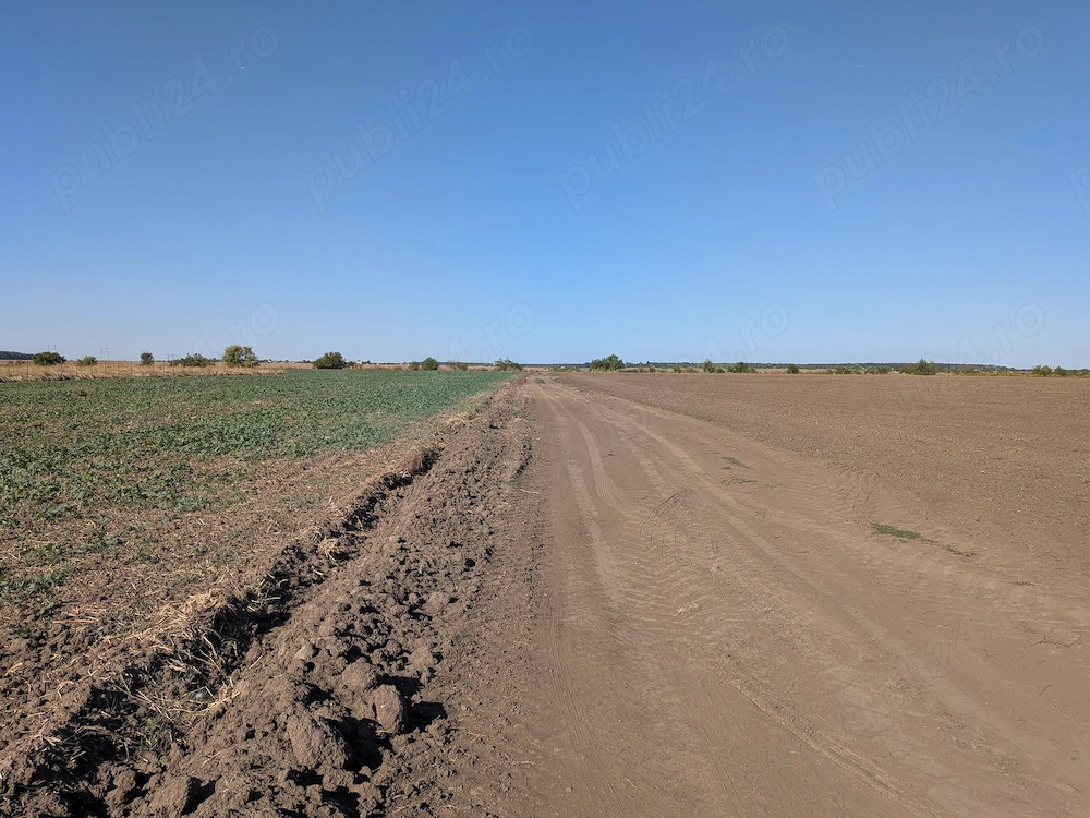 Oportunitate, teren intravilan 500mp