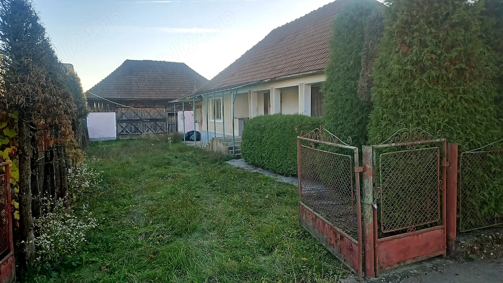 Casa si teren in centrul comunei Cicarlau, Maramures