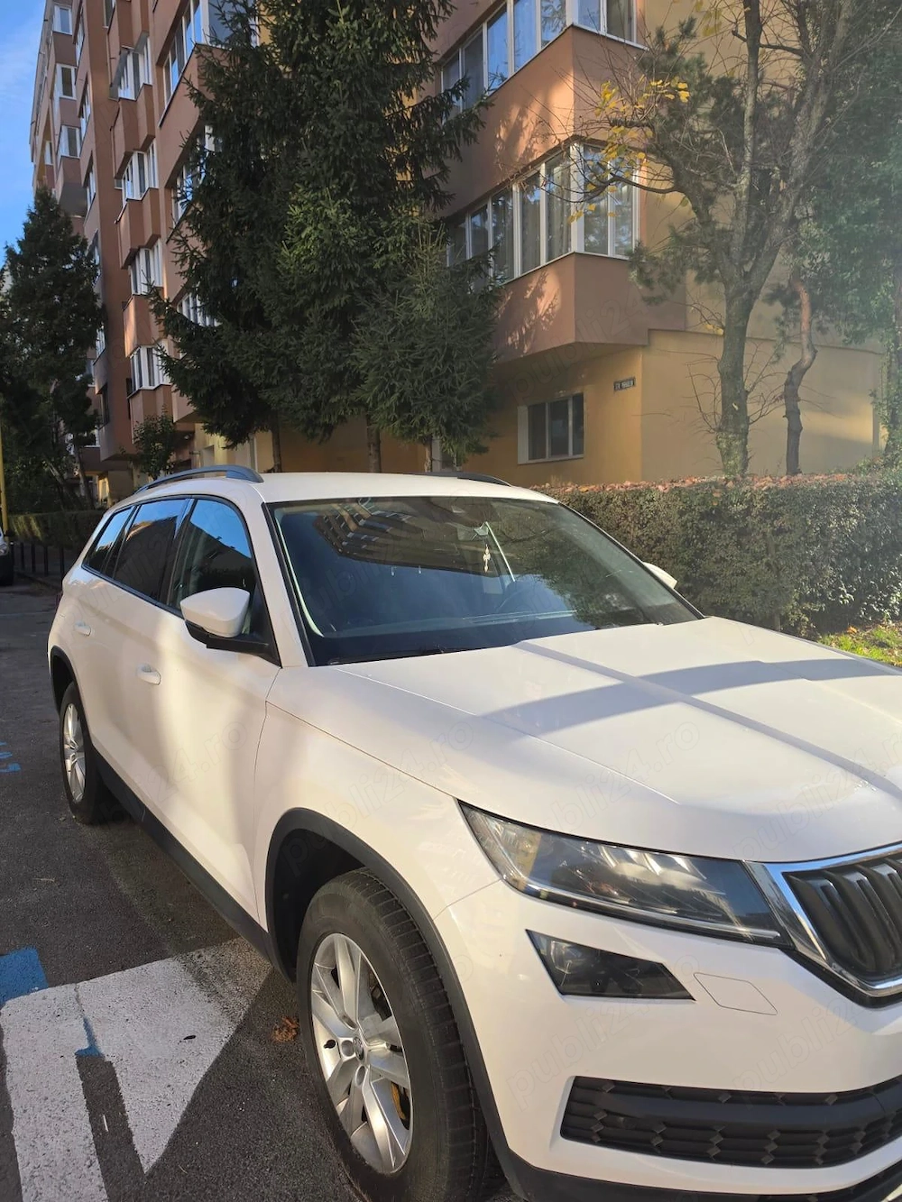Skoda kodiaq 2019 in