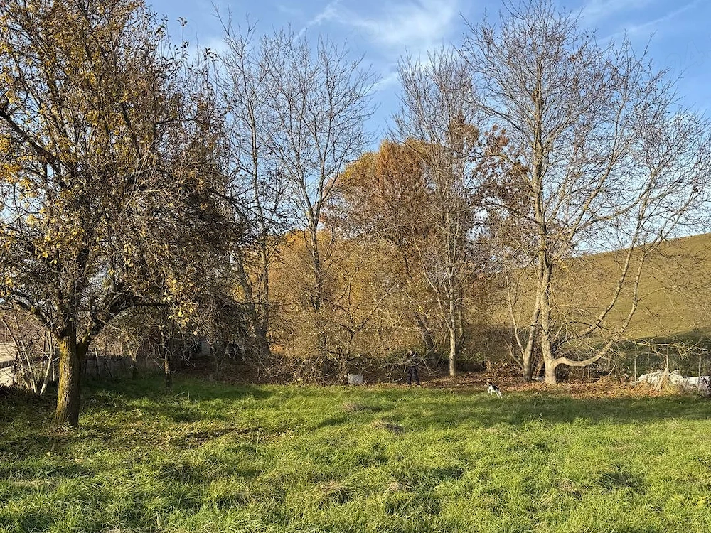 Teren 1000 mp pt casă în Salicea, capăt de stradă, utilități, gard