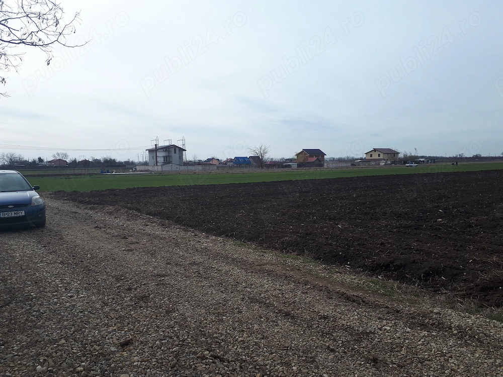 Teren extravilan, Postavari , Calarasi, A0 - Bucuresti