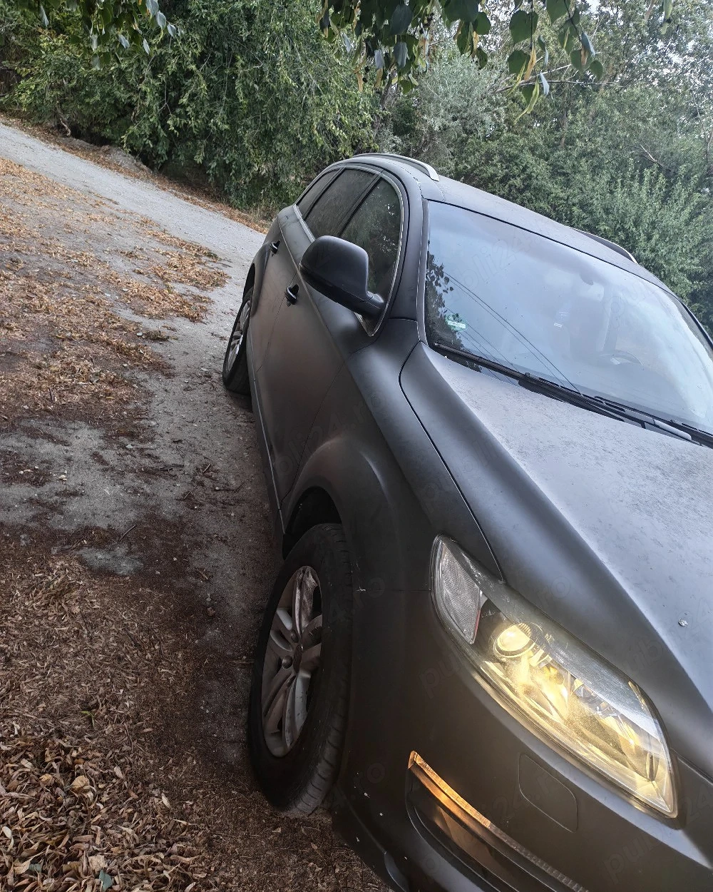 vand audi 