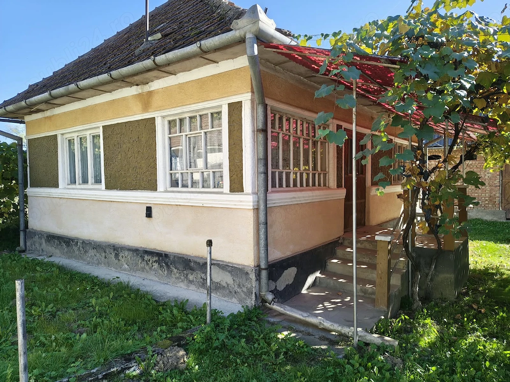 Casă de vânzare - Turbuța - cu ieșire la râul Someș