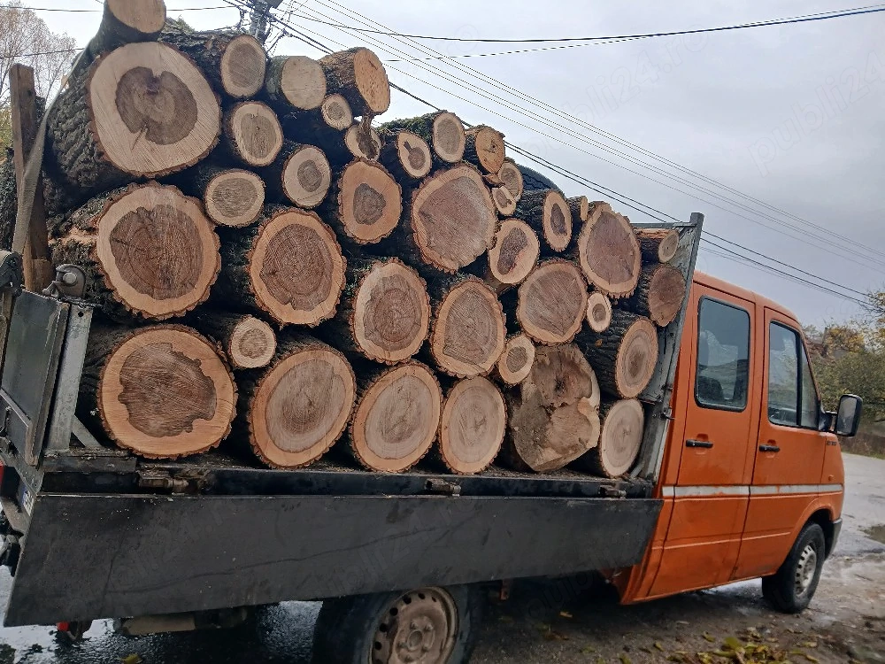 lemne de foc esenta tare bustean