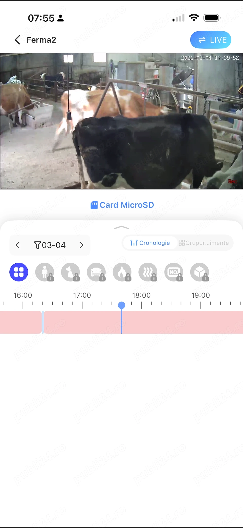 Angajam muncitor la vaci, in miniferma