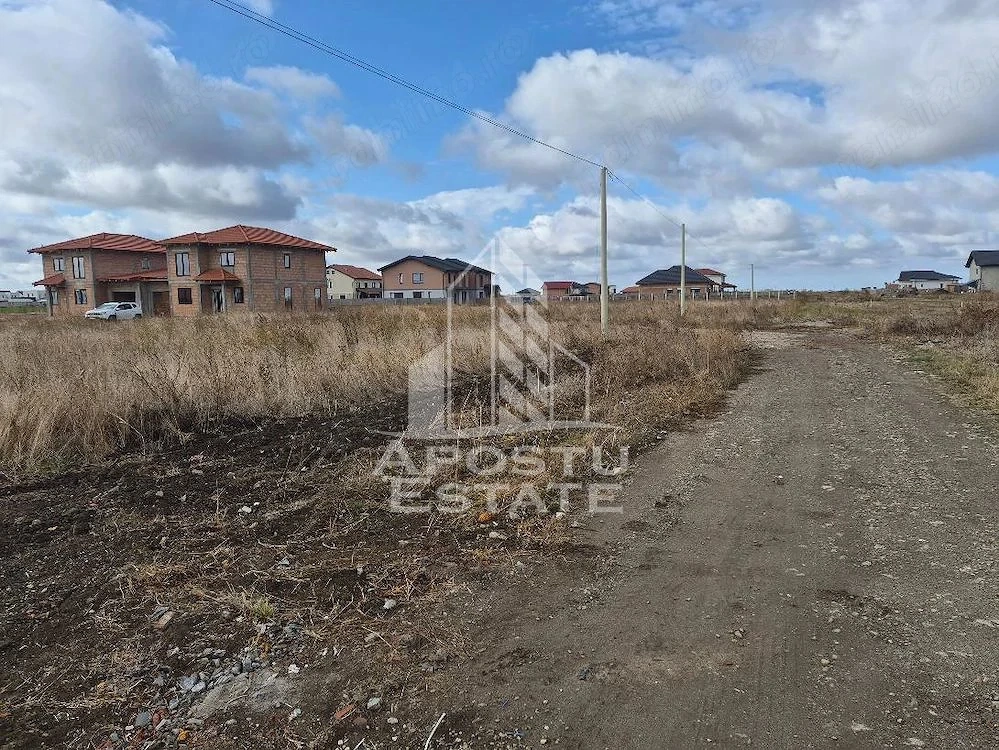 Teren intravilan de vanzare Sacalaz Bariera