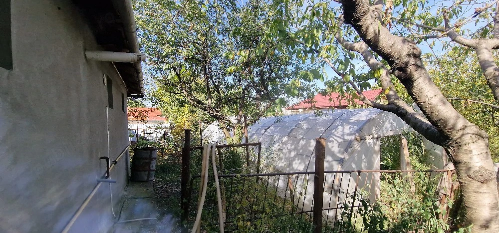 Casă 5 camere Faurei - poza 6
