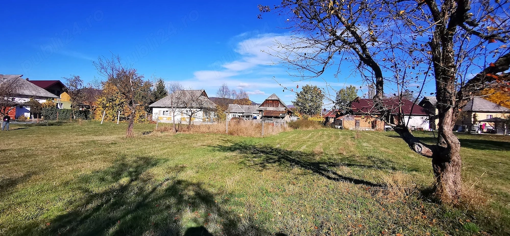 Vând teren 3.800 mp + gospodărie, toate utilitățile, Satu Nou de Sus