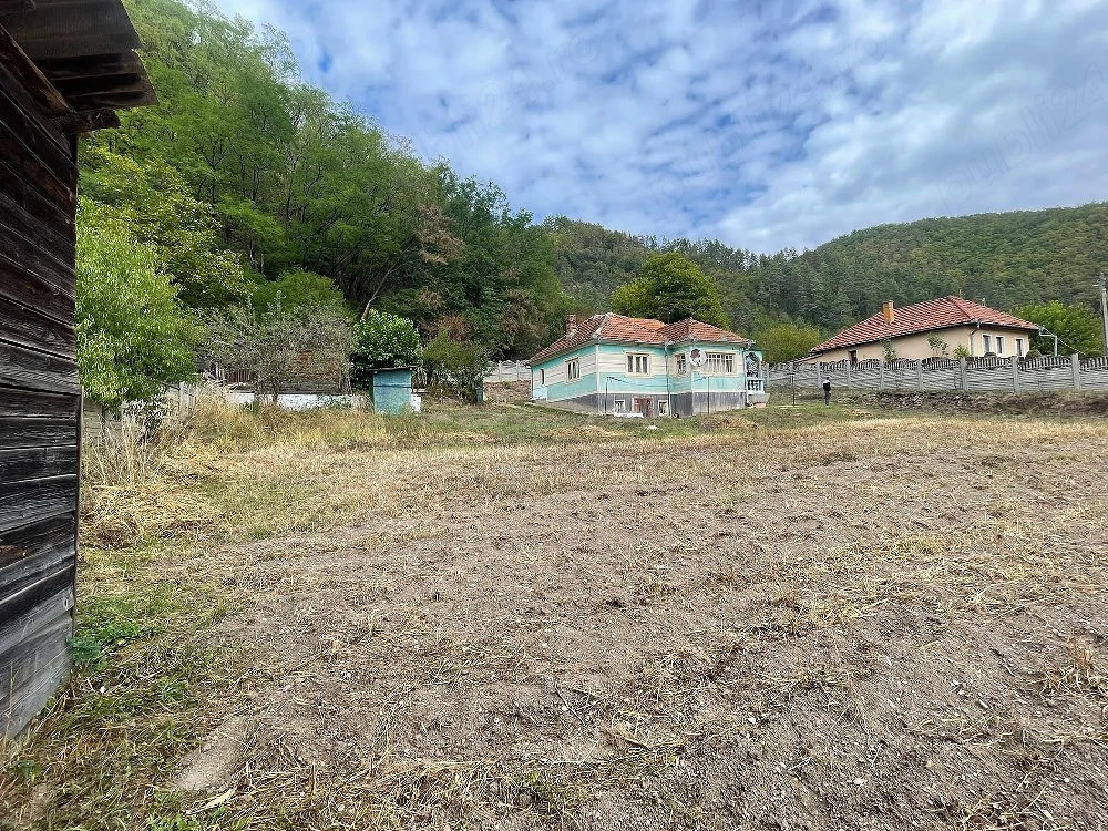 Vand casa la tara