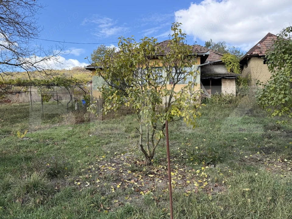 Casă cu 3 camere și un teren de 35,50 mp