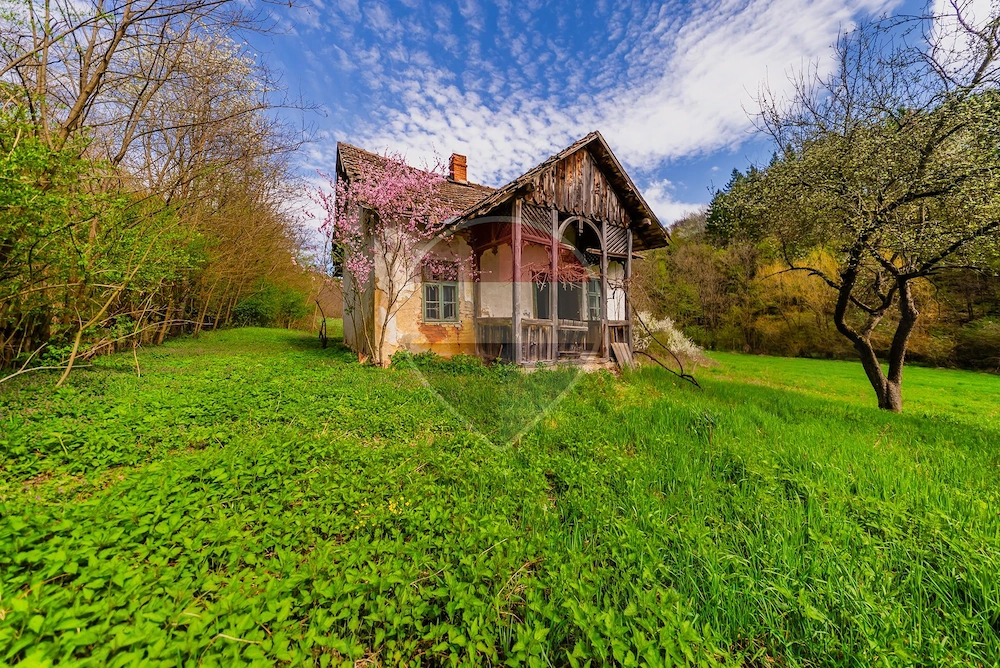 Casă de vacanta intr-o locatie de vis de vanzare in Carand,Romania
