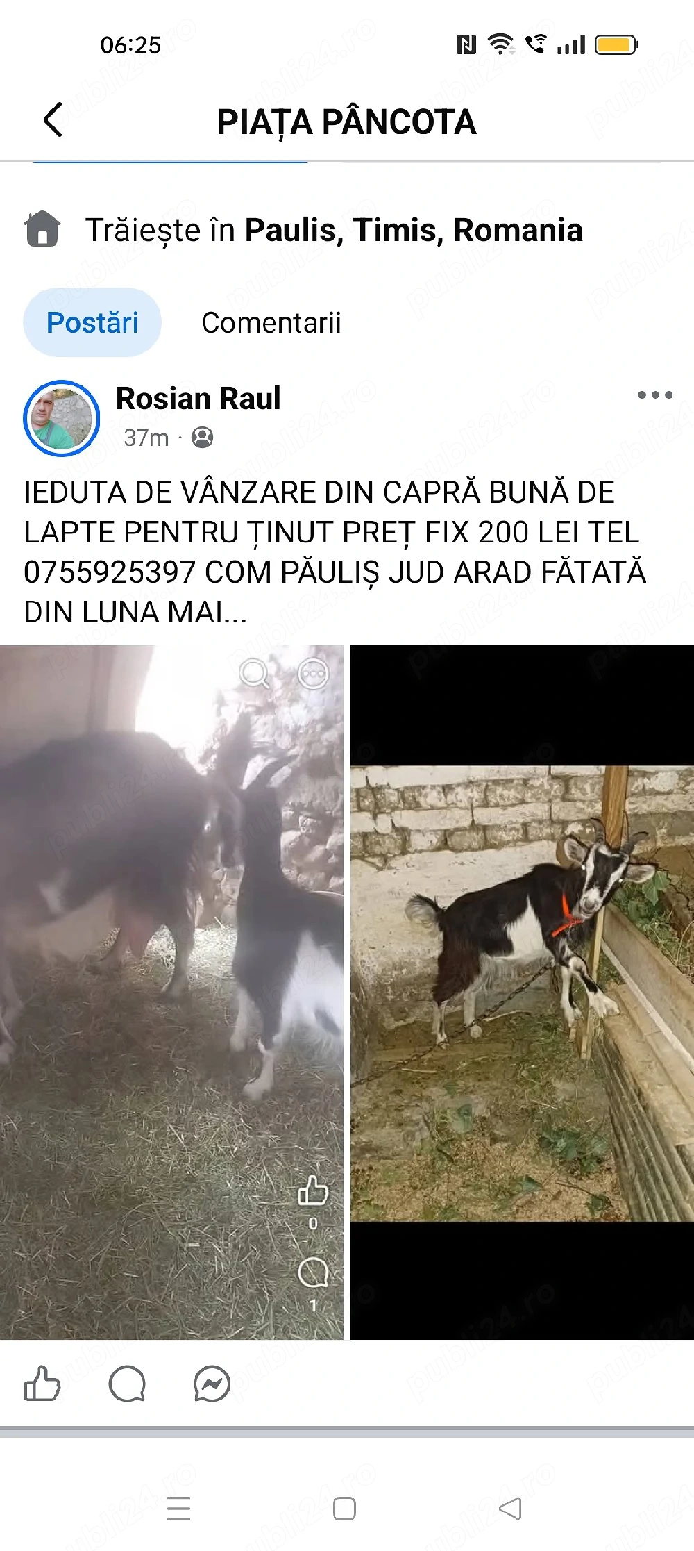 de vânzare ieduta com PĂULIȘ JUD ARAD 