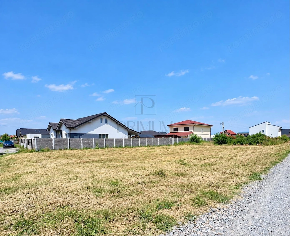 Teren Intravilan - Mosnita Veche - 2 fronturi stradale - str. asfaltata
