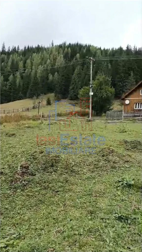 Proprietate Generoas #259; cu Cas #259;  #537;i P #226;r #226;u  #238;n Dorna Arini (Sat Ortoaia