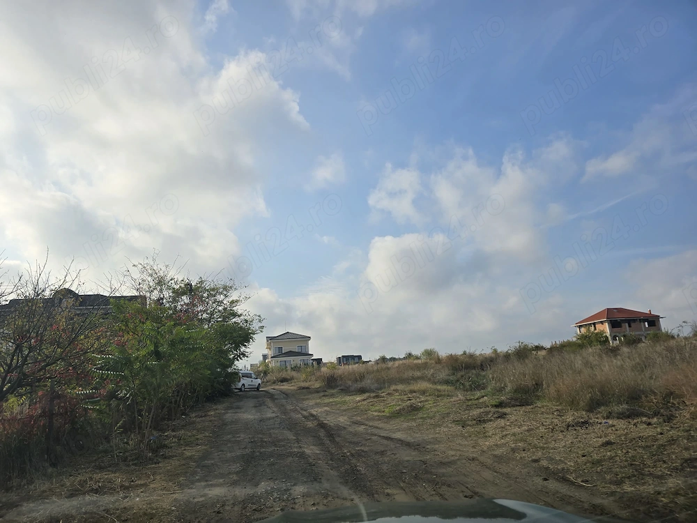 Vanzari terenuri in Palazu Mare
