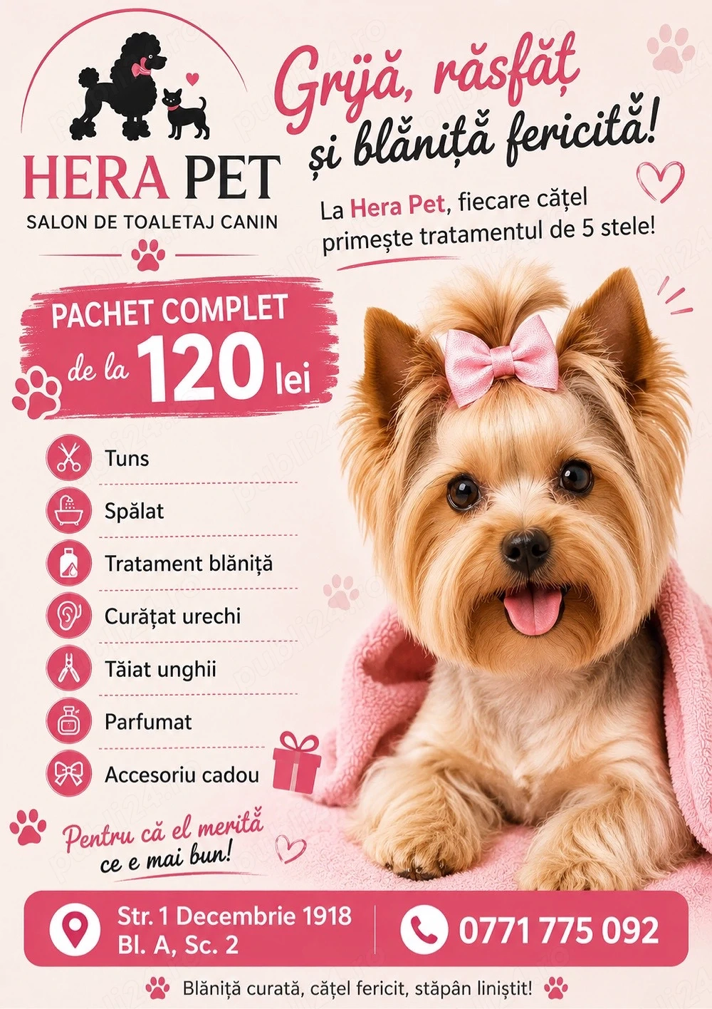 Frizerie canina Galați