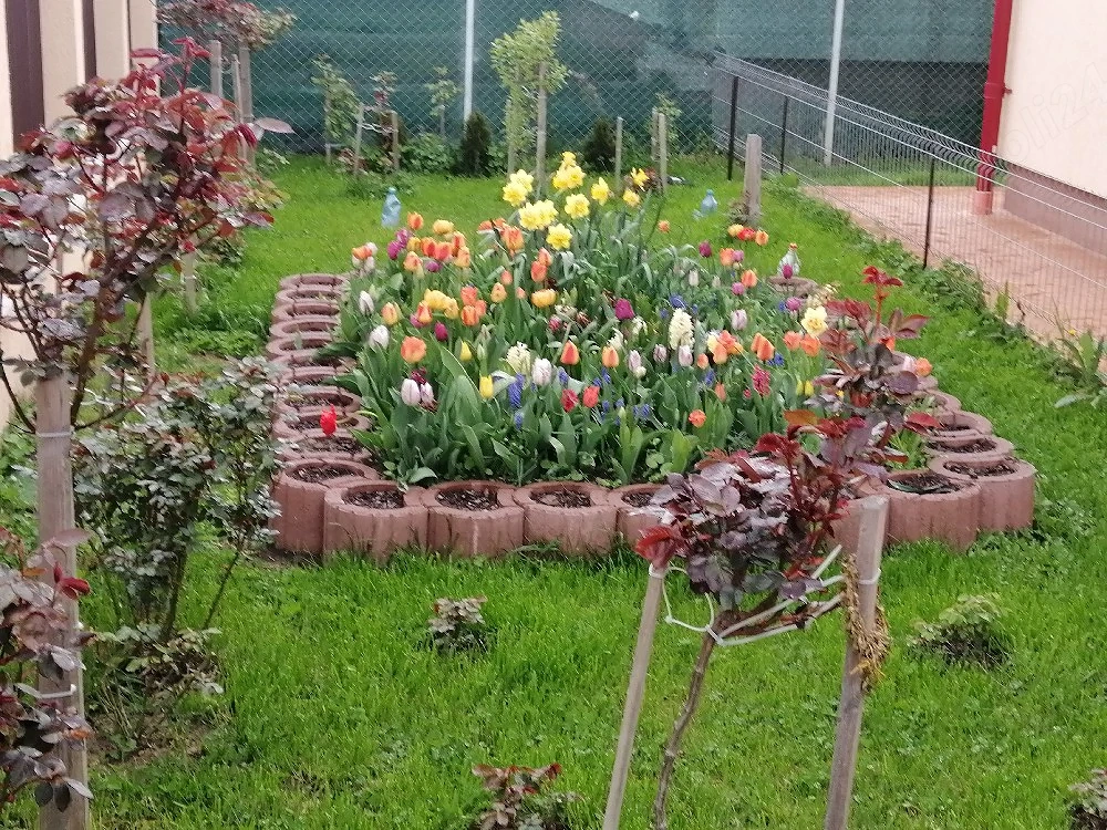 Casă individuală parter Sânandrei   Teren 700 mp   Direct Proprietar