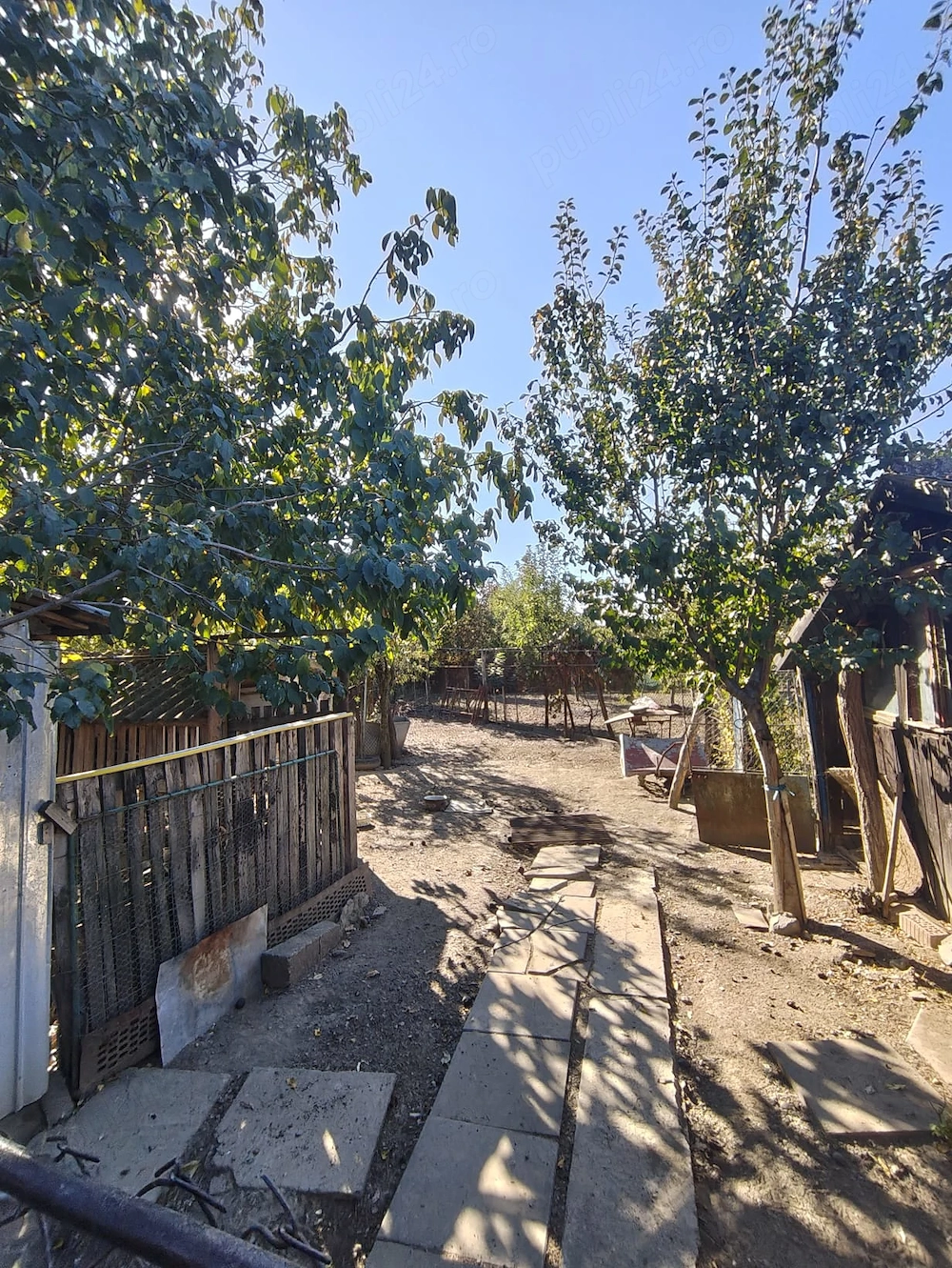 Casă 4 camere Deta - poza 5