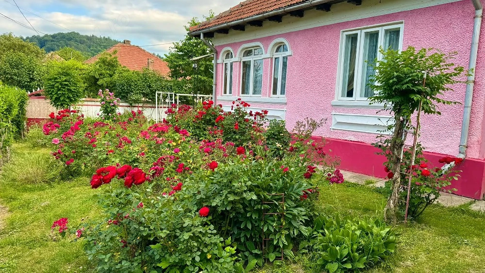 Vand casa locuibila cu teren 1490 mp