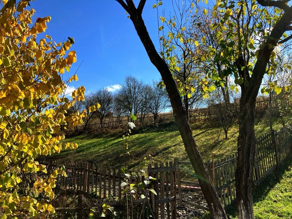 Teren intravilan de vanzare Ghinda 