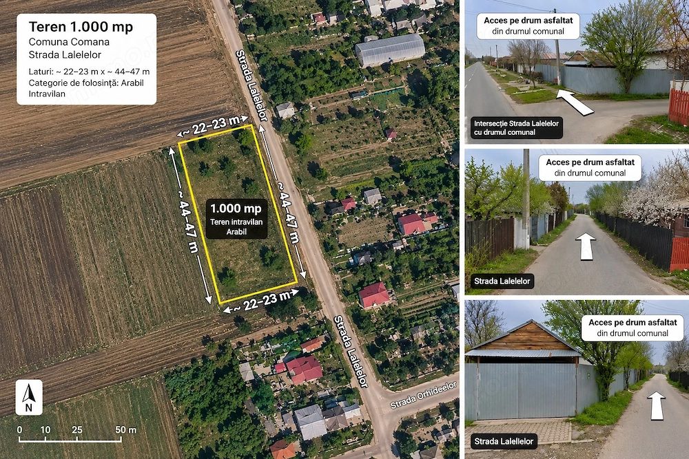 Lot de casa 1000 mp Grădiștea Comana