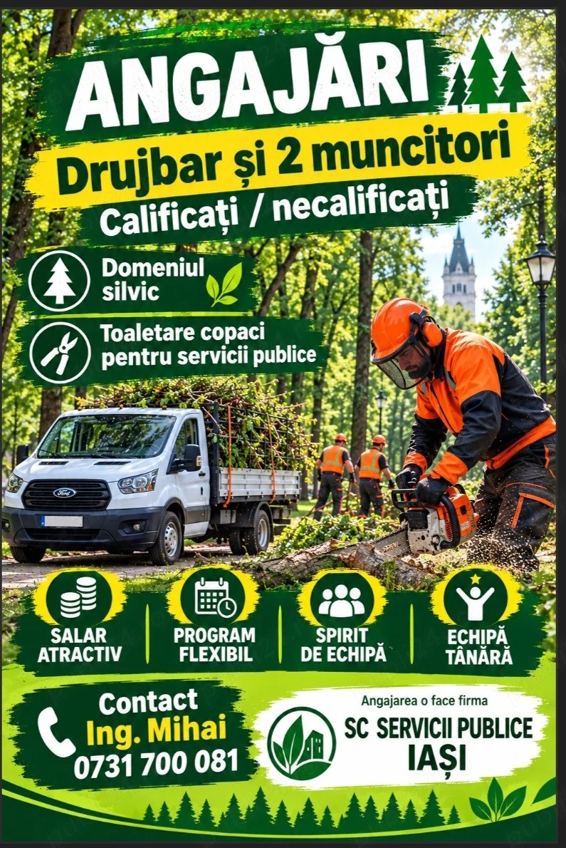 Angajare Drujbar sau 2 muncitori  necalificati, calificati 