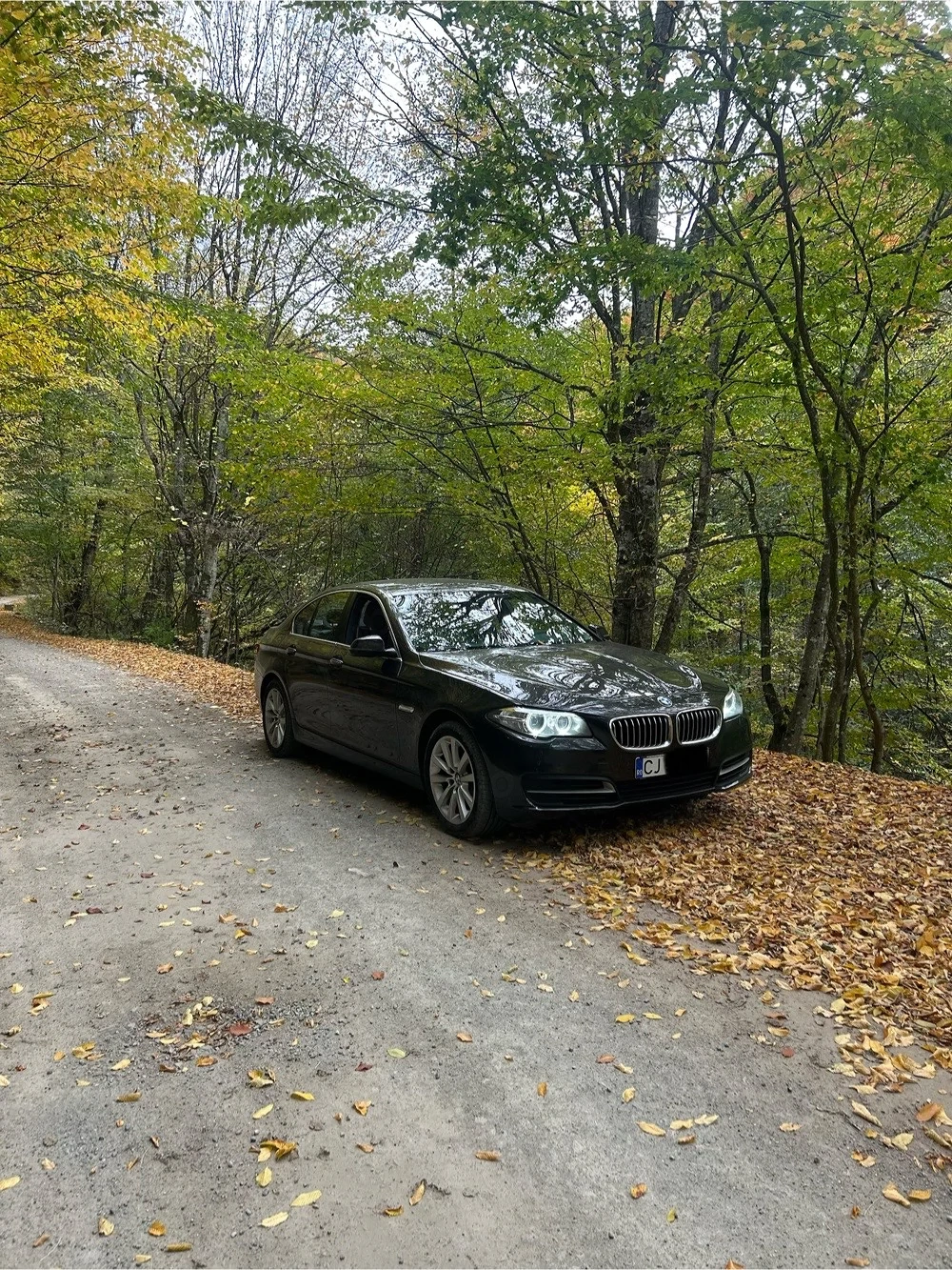 BMW 520 F10 Xdrive 2015