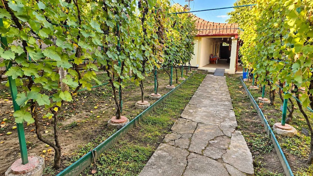 Casa cu 4 camere de vanzare, zona Plopi