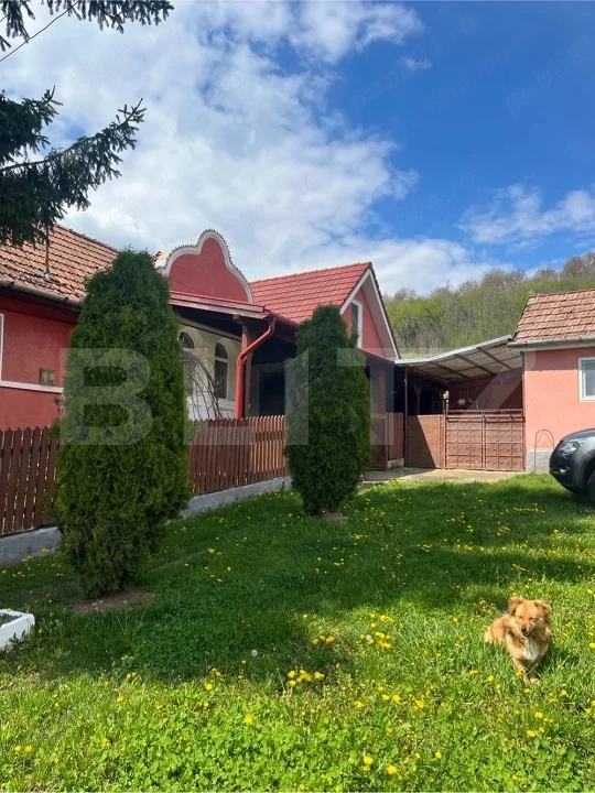 Casă renovată cu 4 camere și teren de 2.000 mp, terasă și bucătărie de vară 